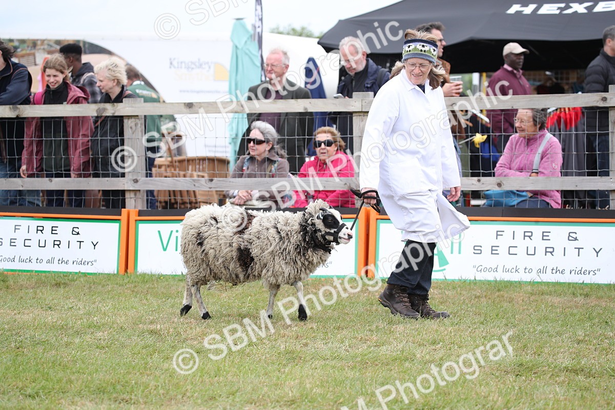 SBM_07810 - Grand Parade