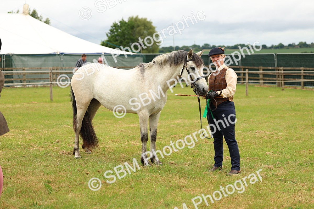 SBM_04119 - Class 64-67 - Shetland Pony In Hand