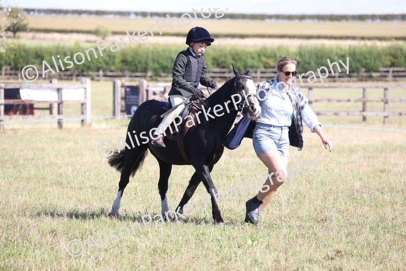 20260906-2202 - Class 16 - Family Pony