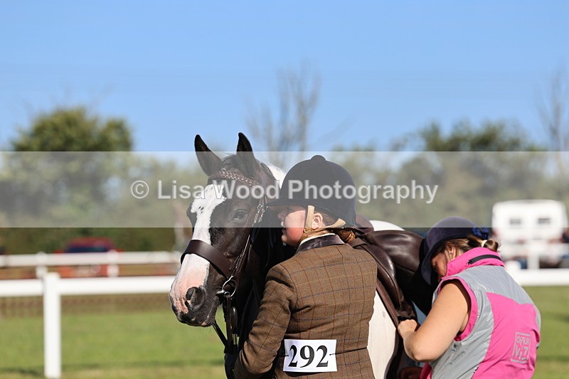 IMG_1404 - Class 28: Ridden Plaited Coloured Pony