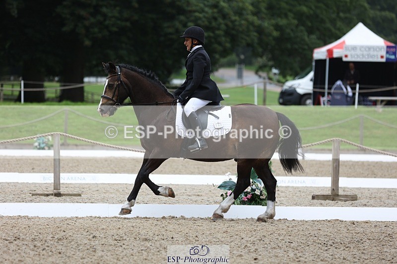 230812-102325-03209 - Cls 5 Novice Bronze Start to 10.55 break