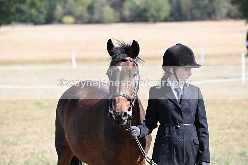 WJ6_7621 - Class 34 Judges Choice