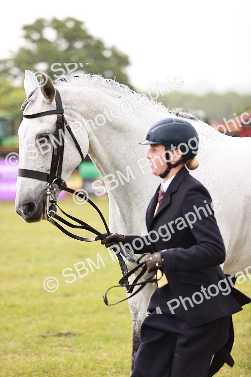 SBM_11001 - Class 81-84 - RIHS Ridden hunters Inc Ladies Hunter