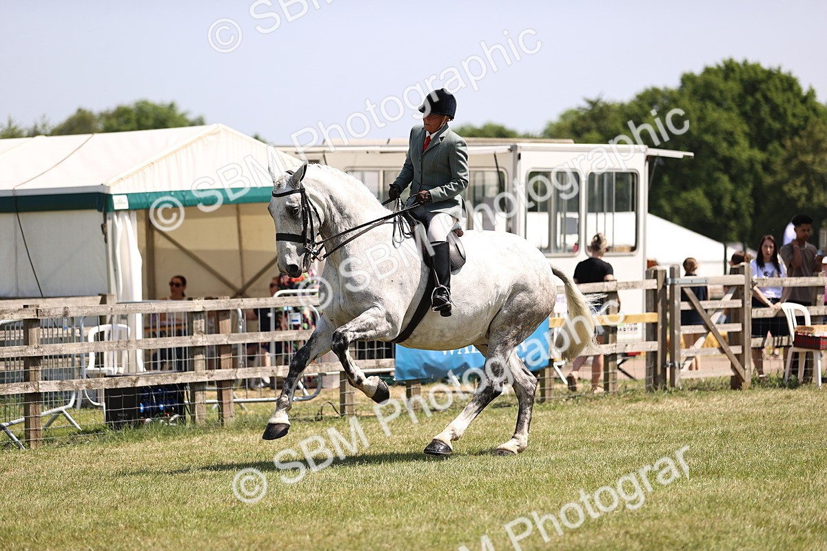 SBM_16132 - Class 79-80 - LIHS BSHA Rising Star Ridden Hunter