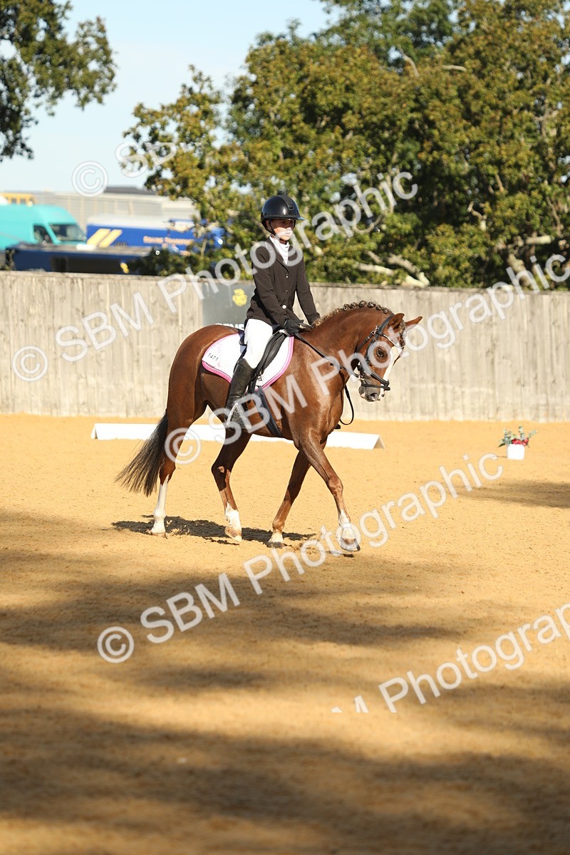 SBM_37845 - D21 - Junior Championship - Intro A