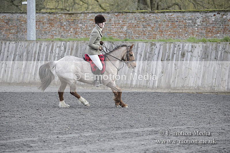 BVRC 050320 0086 - Bourne Valley riding Club Show Jumping Tidworth 08/03/20