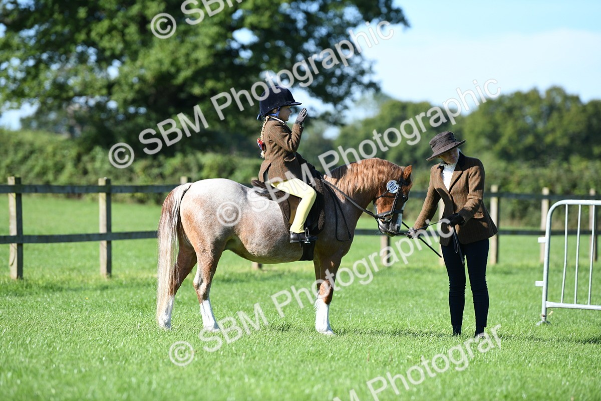 SBM_36707 - S18 - Novice & Newcomers Lead Rein Pony