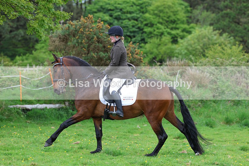 3E7A2000 - Class 10: Ridden Sports Horse