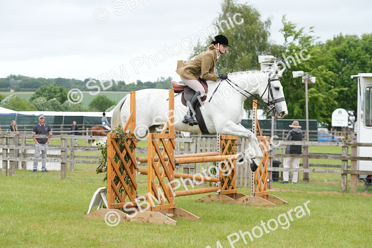 SBM_12532 - Class 97-98 - LIHS BSHA Rising Star Working Show Horse Hunter