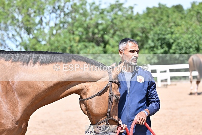 250716-123835-00082 - Trot Up 12.30 to 1.30
