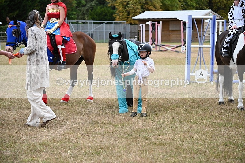 WJ6_9062 - Class 11 Fancy Dress