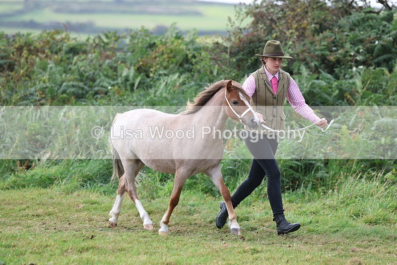 3E7A5373 - Class 19: Best Coloured in Hand