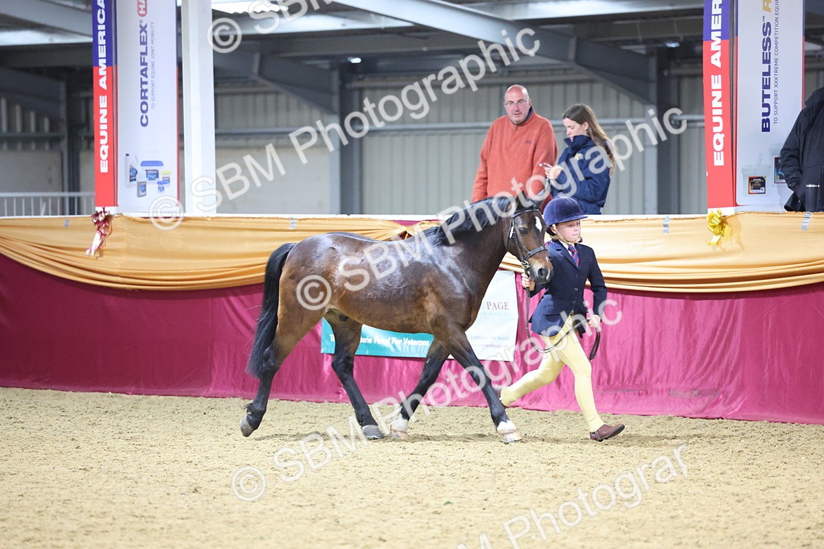 SBM_18573 - Class B Junior Champ 11-16 years