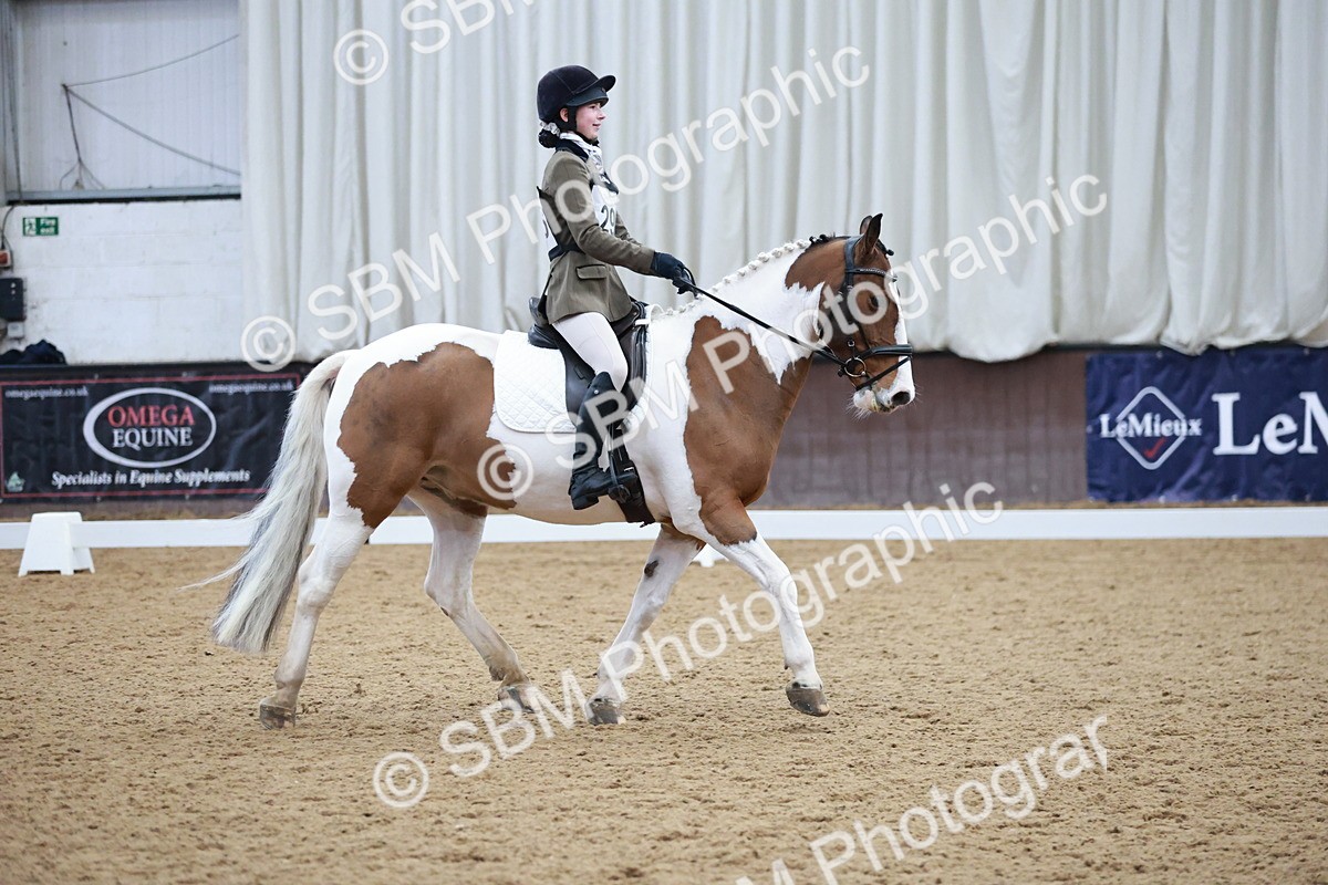 SBM_003932 - Class 2 - Novice 2020