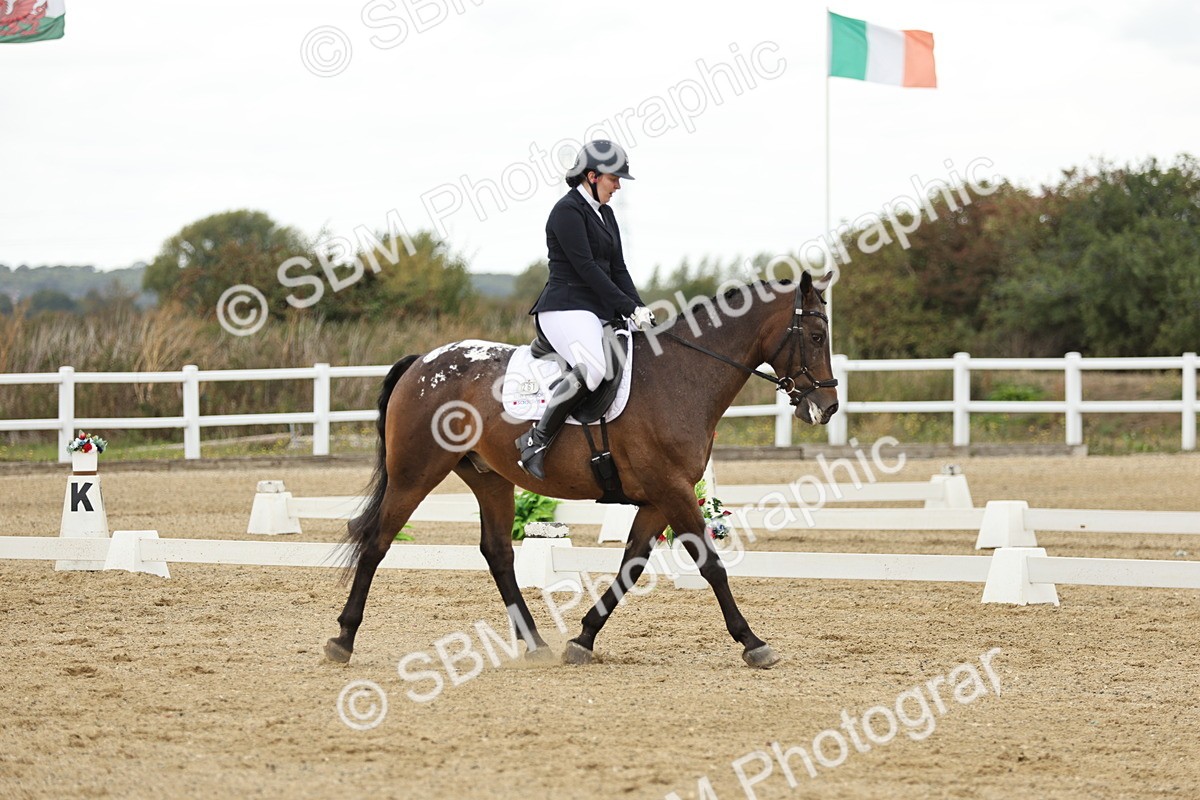 SBM_007007 - Class 21 - Medium 5 Bronze - 10.04-10.52