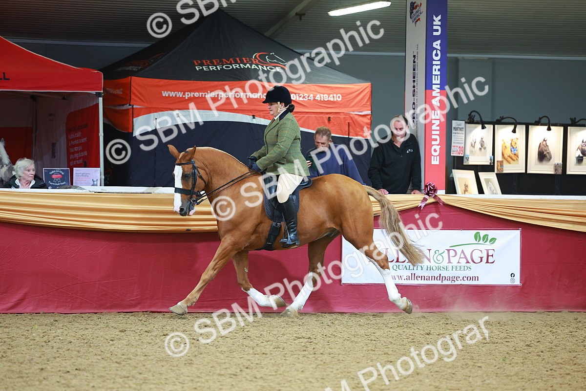 SBM_10671 - Class 103 - HOYS Veteran Qualifier - Ridden Pre Vet