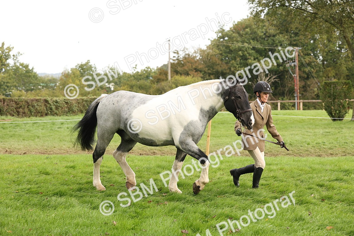 SBM_57503 - S56 - Show Cob in Hand