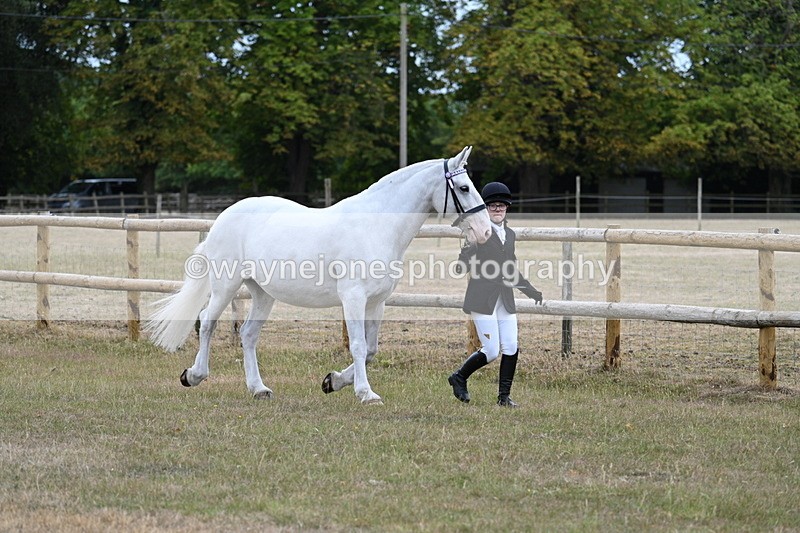 WJ7_8862 - Class 4a Prettiest Mare 14.2hh and over
