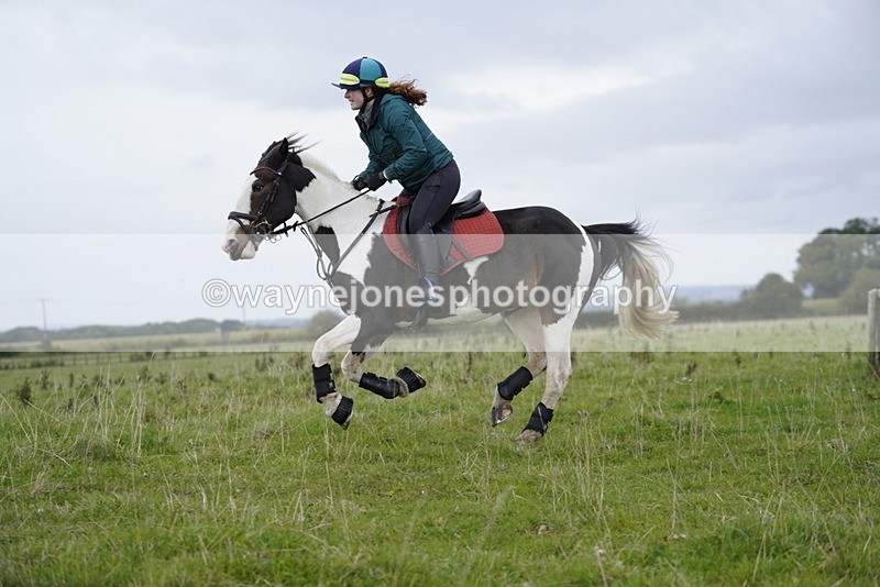 _DSC5466 - Time at Photographer 09:16 to 09:37