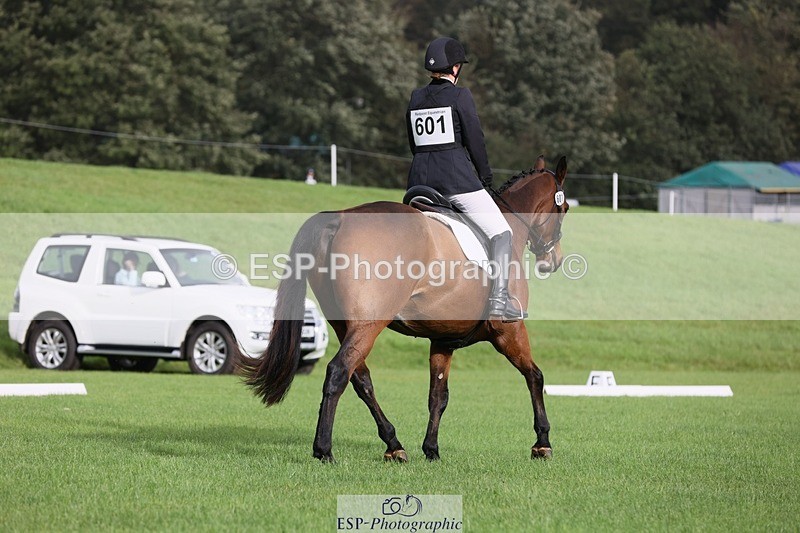 231019-101226-02240 - 601-ZIA'S.ZAVITAS-Helen.Buckland-DR