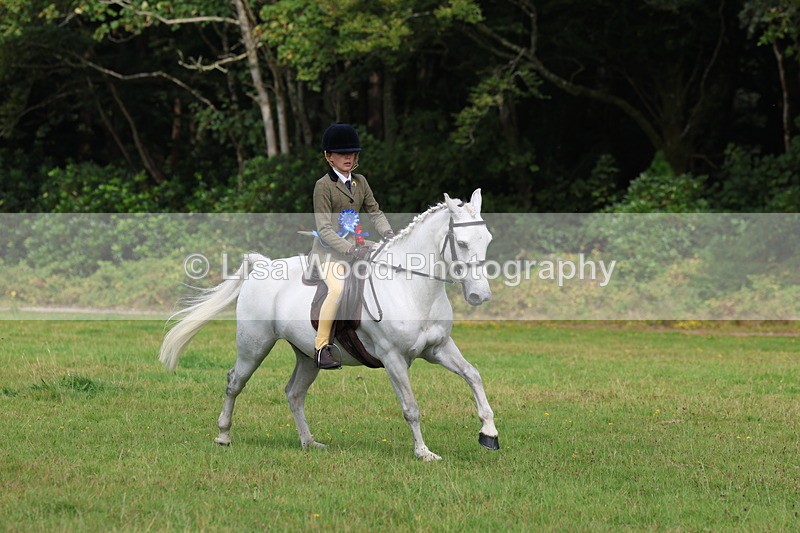 3E7A6066 - Working Hunter Championship