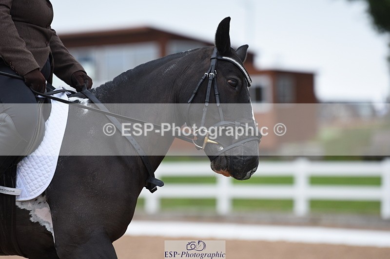 230708A-121120-01680 - Prelim 7