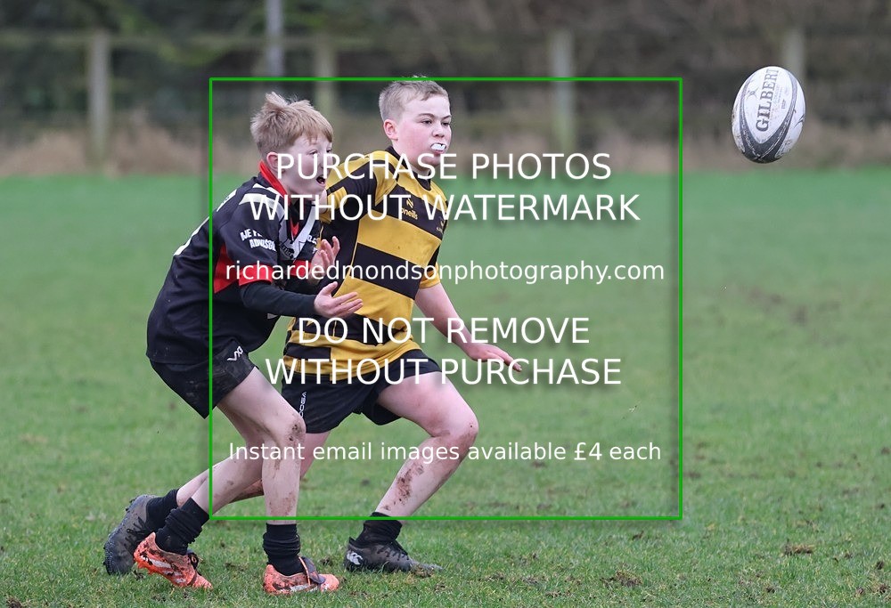 533A0384 - Kendal Rugby Under 13's vs Workington Zebra Under 13's (22/2/26)