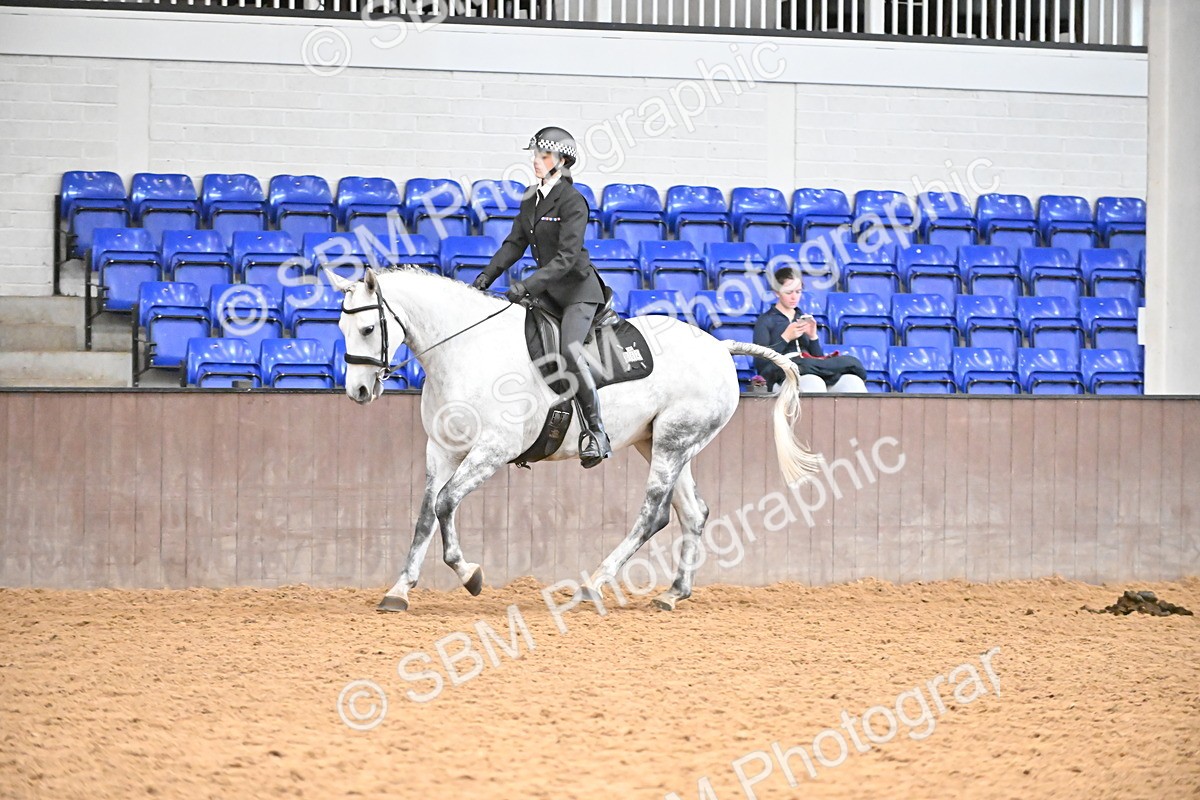 SBM_002658 - Class 28,29 - Ridden Irish & Coloured