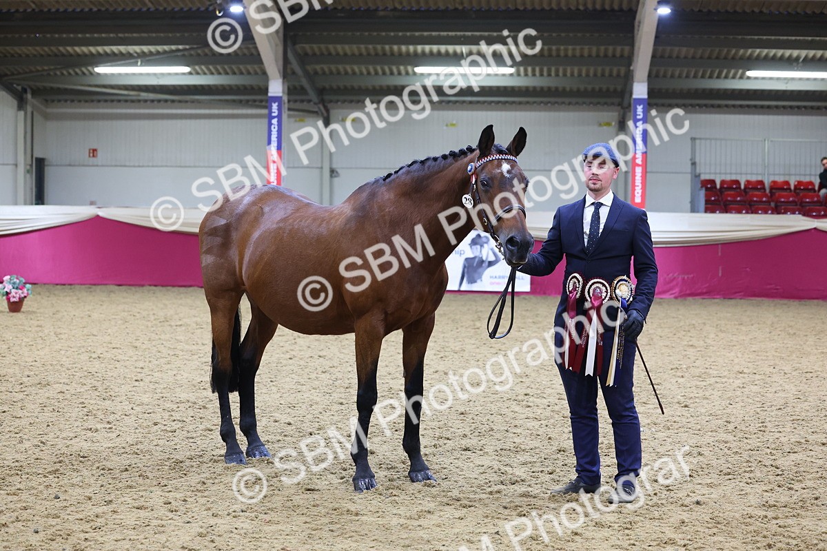 SBM_19803 - Class 901 - Supreme Final - IH Diamond