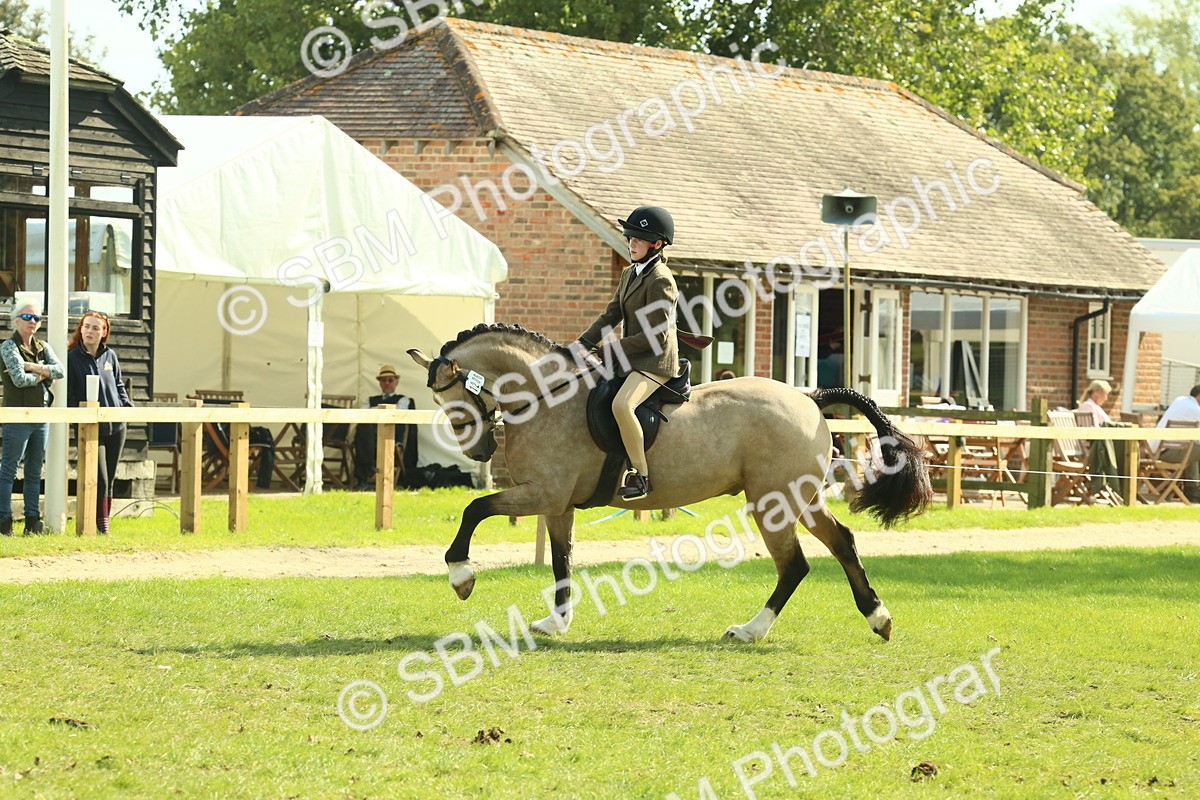 SBM_67620 - S56 - Coloured Pony Ridden