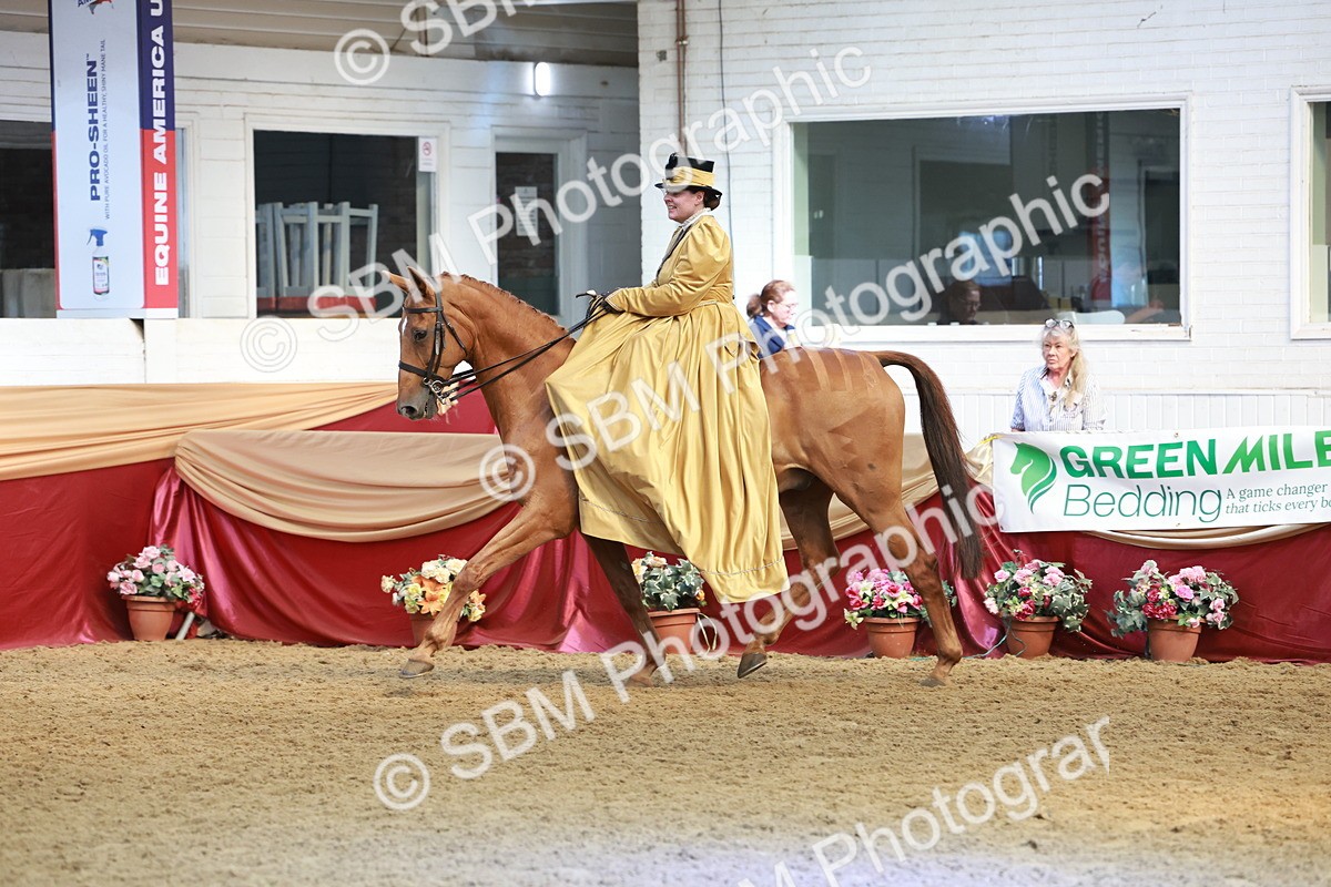 SBM_13555 - Class 105 - Ridden Costume - Side Saddle