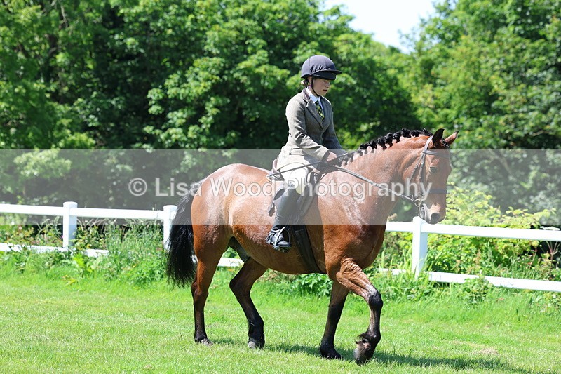 3E7A7141 - Class 30: Novice Working Hunter