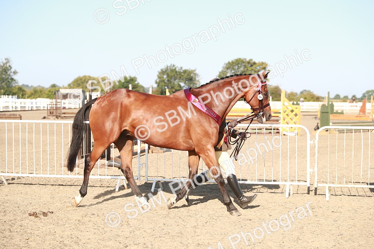 SBM_00168 - Class 40 Best Turned Out IH