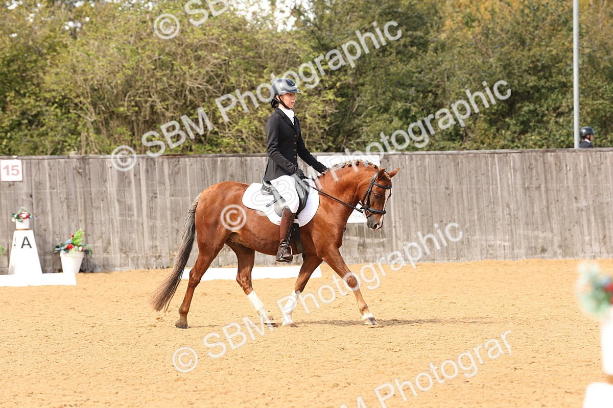 SBM_20257 - D10 - Small Tour Championship Prelim 2