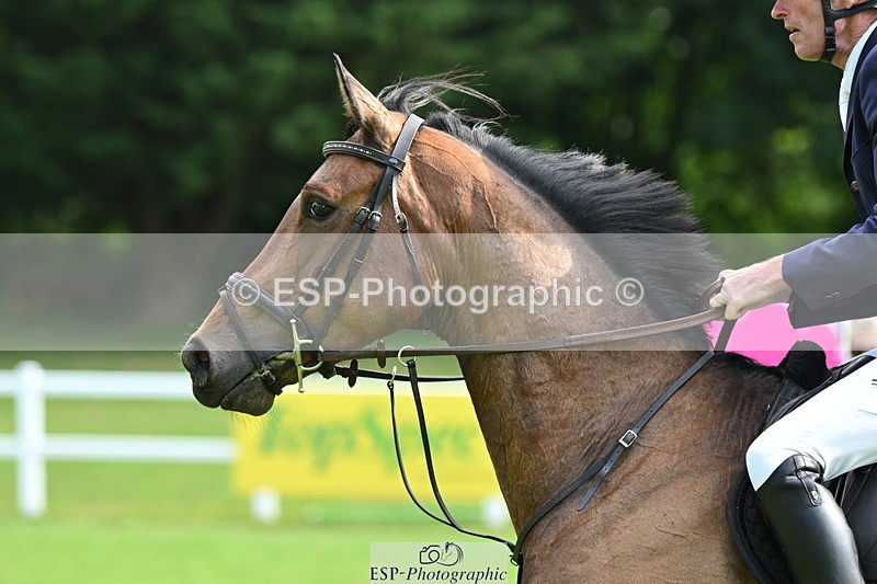 250615A-091347-09393 - Cls 35 Foxhunter