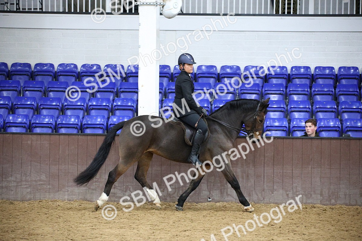5K7A6093 - Class 48 - Ridden Mare