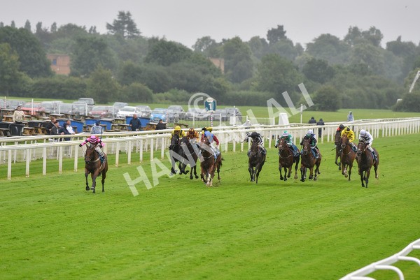 140723-Race 4-Andaleep-8238 - Race 4 3.50pm Azets Handicap