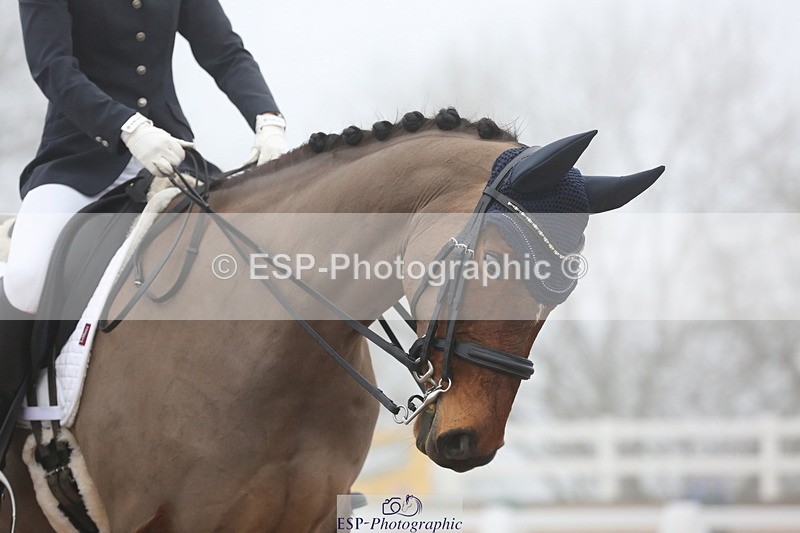 240217A-102935-00995 - 228-Abby.Bannell-Royal.Dalliance