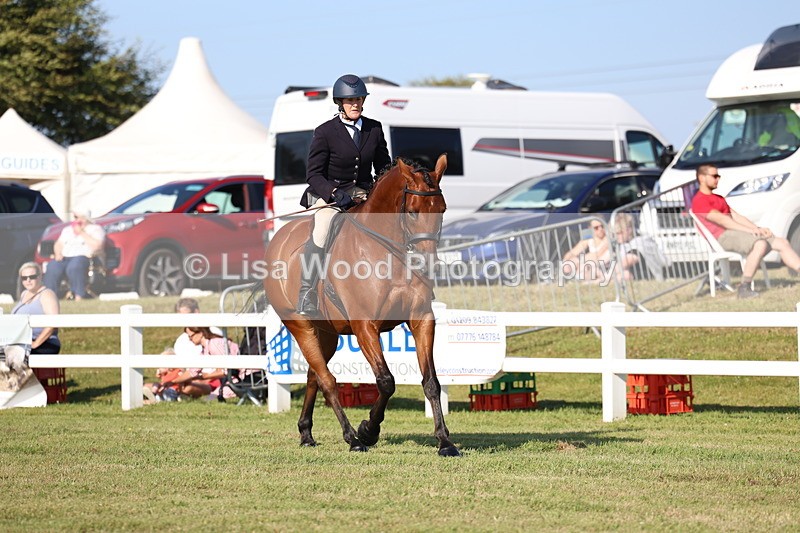 3E7A5502 - Class 2: Rising Star Large Hack/Riding Horse