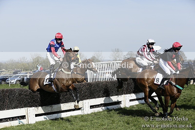 PtP 260317 204 - Mendip Farmers Point-to-Point Ston Easton 26/03/17