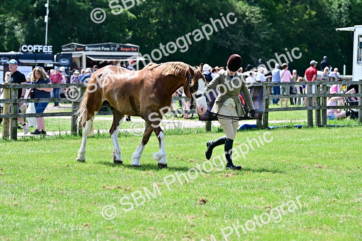 SBM_03912 - Class 58 - TSR  Ridden Veteran Amateur of the year