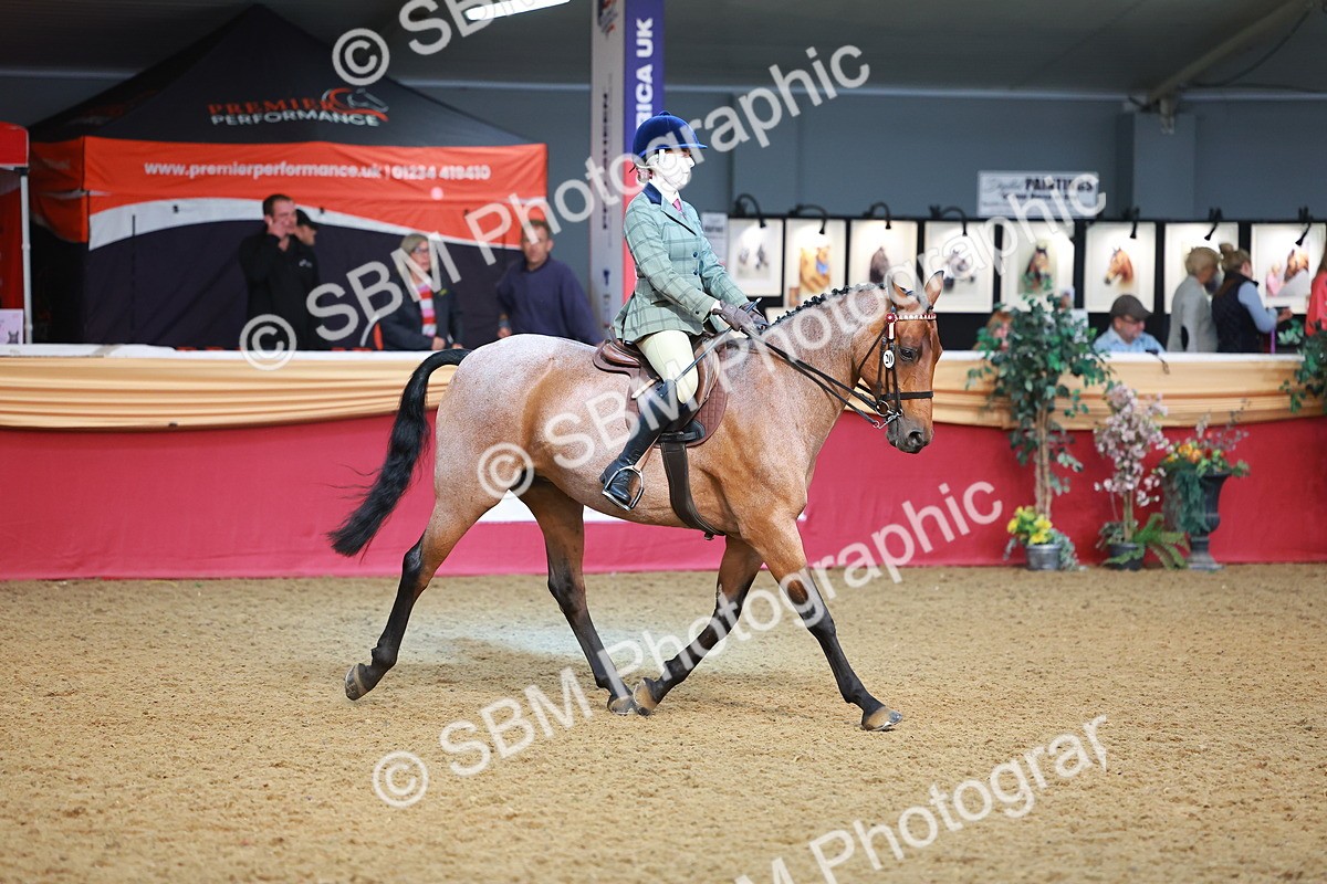 SBM_09523 - Class 102 - HOYS Veteran Qualifier - Ridden Veteran