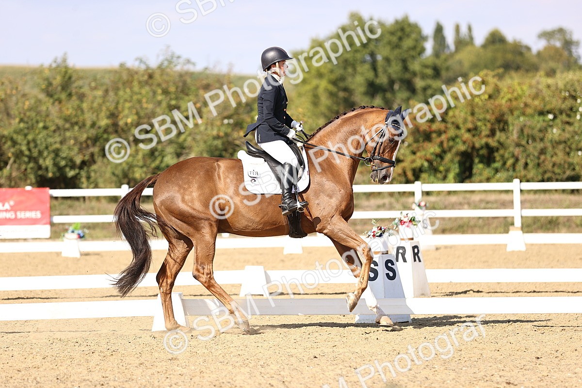 SBM_015255 - Class 8 - Medium 5