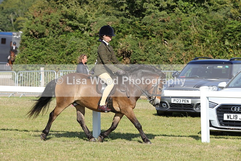 1X9A6068 - M & M Ridden Championship