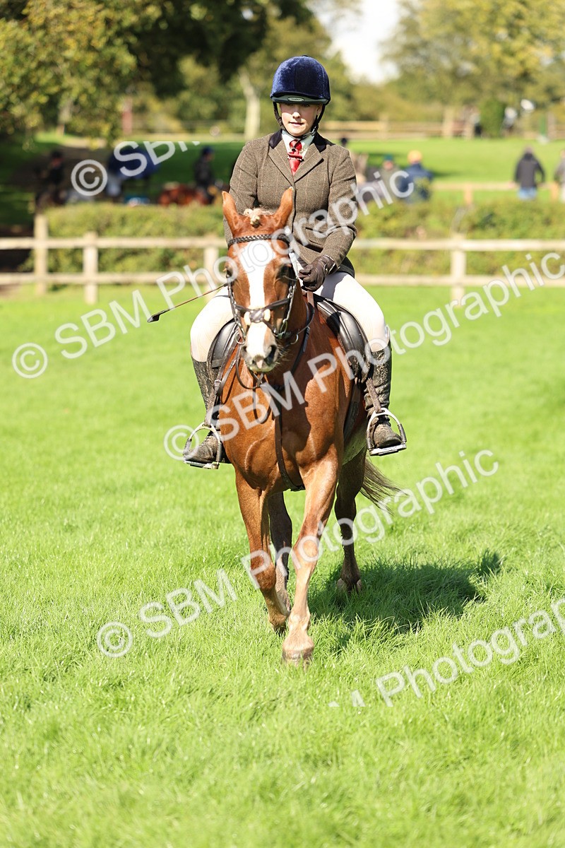 SBM_45425 - S33 - Working Hunter Pony