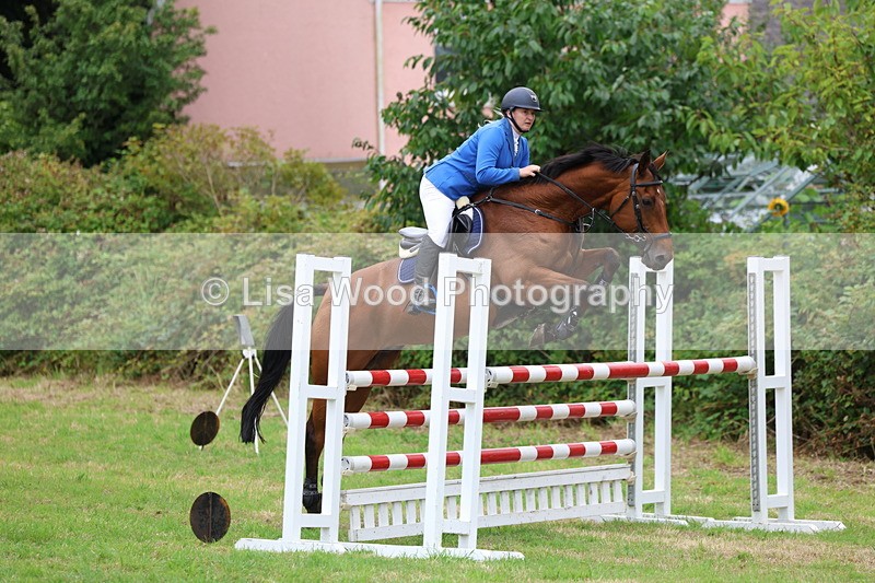3E7A8390 - Class 8: Senior Foxhunter/1.20m open