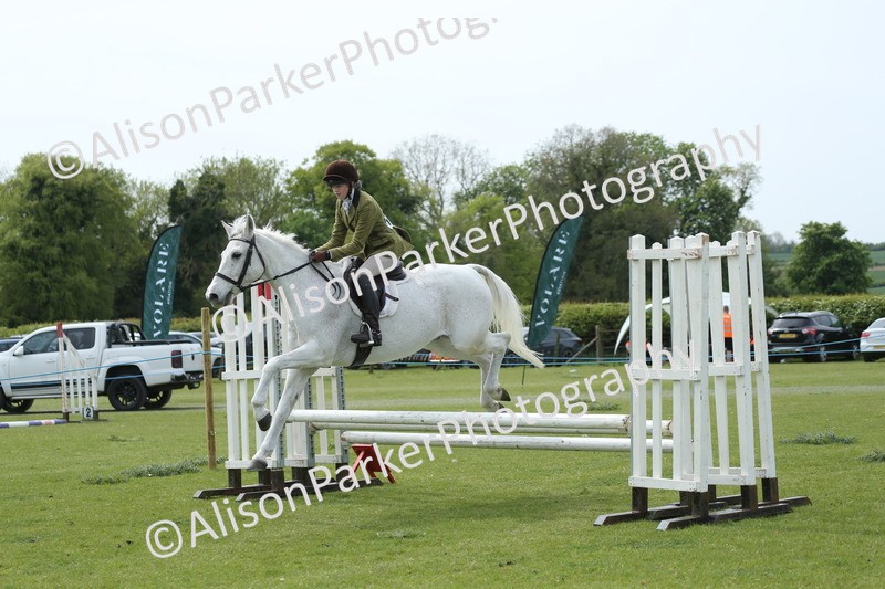 20260426-2067 - Class 15 - Absolute Novice 70cm