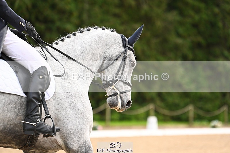 231021-135054-18571 - 248-KINGS.LANE-Liberty.Smith-DR