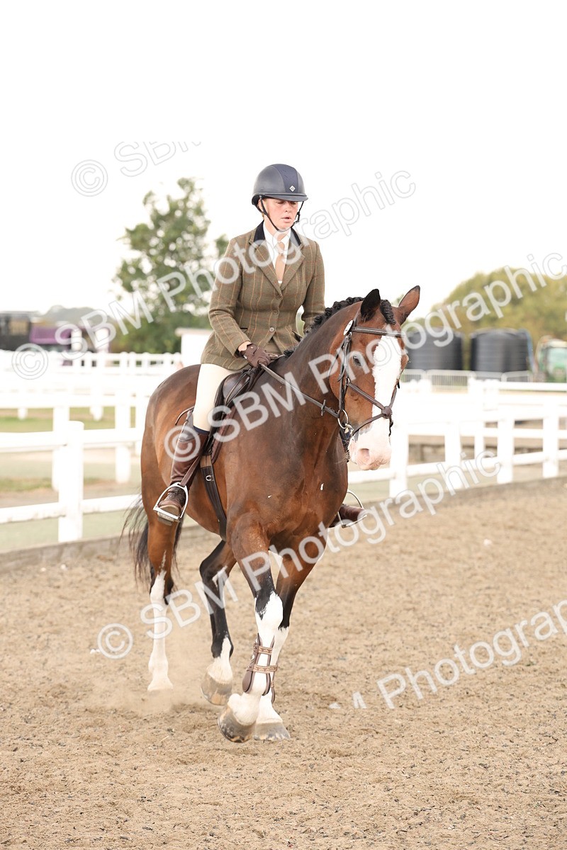 SBM_07573 - Class 59b -  Style & Performance - 80cm (20+)