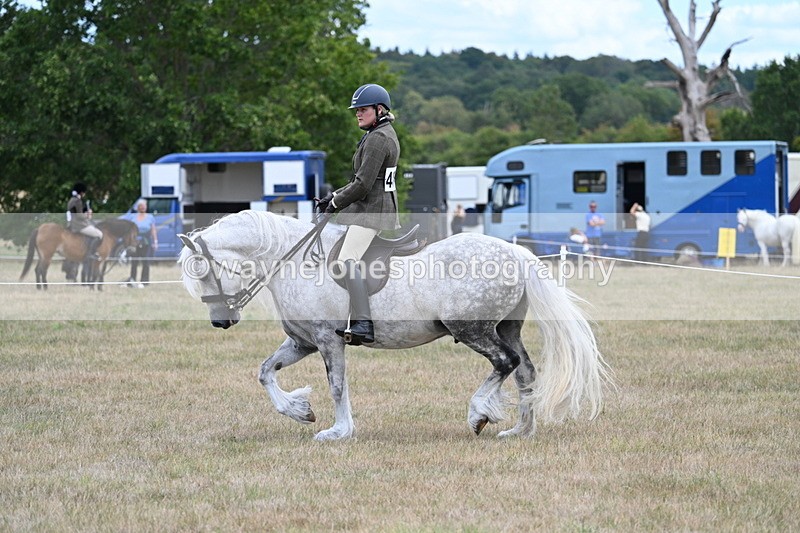 WJ7_4952 - Class 12 Ridden Cob